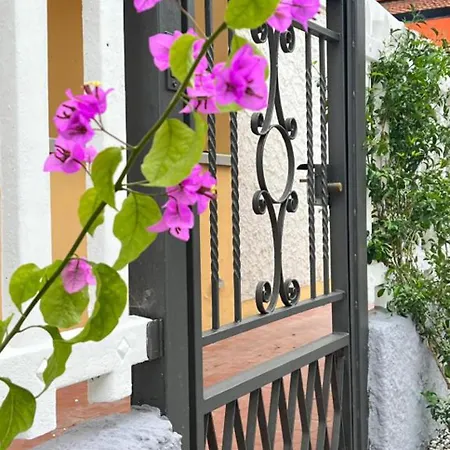 Holiday home Giuliana's House By The Sea In Tuscany Torre del Lago Puccini