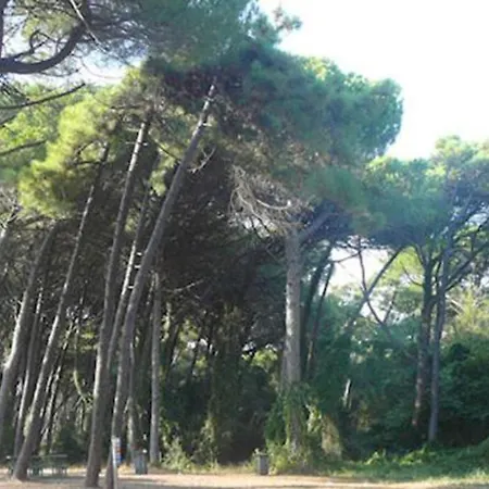 Giuliana's House By The Sea In Tuscany * Torre del Lago Puccini