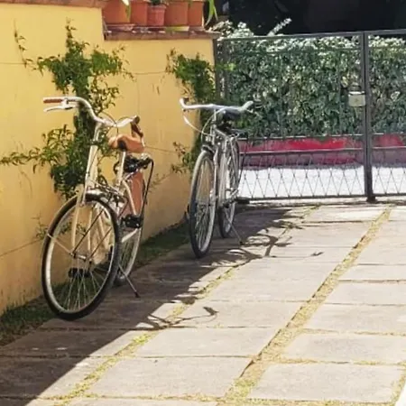 Giuliana's House By The Sea In Tuscany * Torre del Lago Puccini